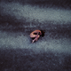 Imagen: Andrea / Skypixel